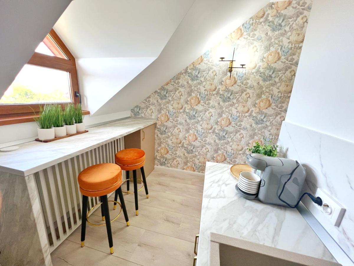 Studio Poienii - A Cozy Stay 5 Min Away From The Center Бистриця Екстер'єр фото